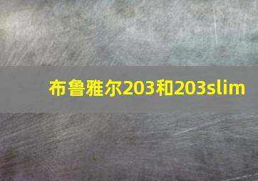 布鲁雅尔203和203slim