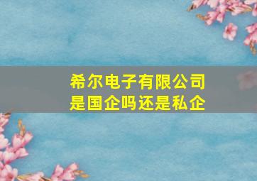 希尔电子有限公司是国企吗还是私企