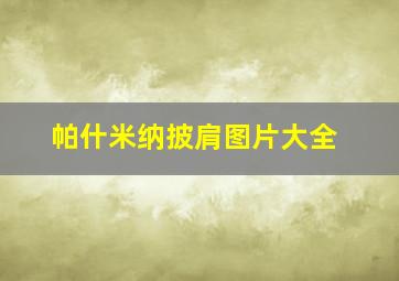 帕什米纳披肩图片大全