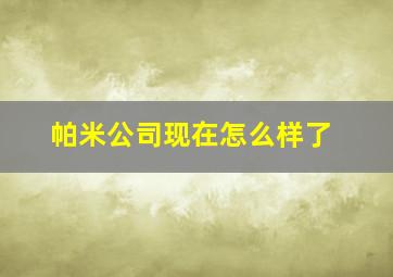 帕米公司现在怎么样了