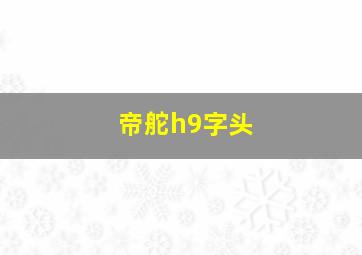 帝舵h9字头