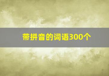 带拼音的词语300个