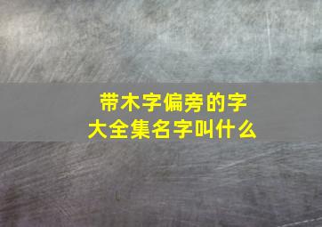 带木字偏旁的字大全集名字叫什么