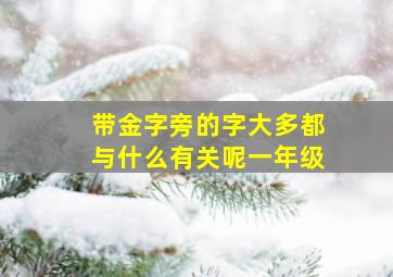 带金字旁的字大多都与什么有关呢一年级