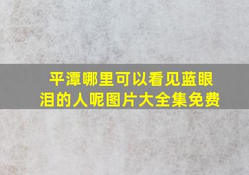 平潭哪里可以看见蓝眼泪的人呢图片大全集免费