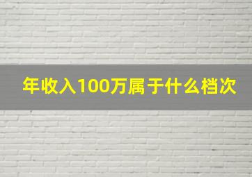 年收入100万属于什么档次