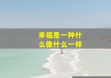 幸福是一种什么像什么一样