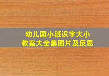 幼儿园小班识字大小教案大全集图片及反思