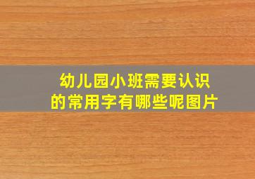 幼儿园小班需要认识的常用字有哪些呢图片