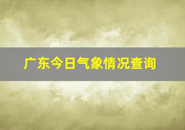 广东今日气象情况查询