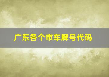 广东各个市车牌号代码