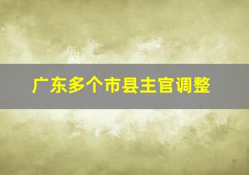 广东多个市县主官调整