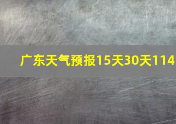 广东天气预报15天30天114