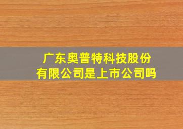 广东奥普特科技股份有限公司是上市公司吗