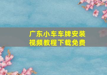 广东小车车牌安装视频教程下载免费