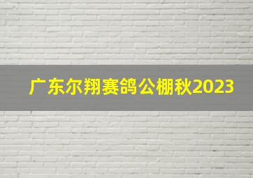 广东尔翔赛鸽公棚秋2023