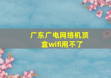 广东广电网络机顶盒wifi用不了