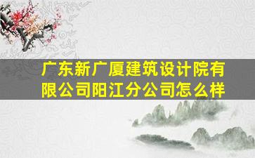 广东新广厦建筑设计院有限公司阳江分公司怎么样