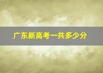 广东新高考一共多少分