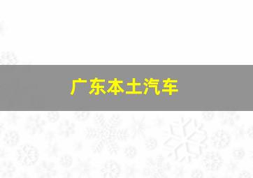 广东本土汽车