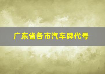 广东省各市汽车牌代号