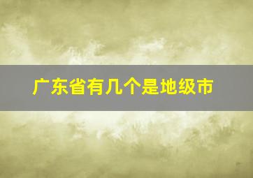 广东省有几个是地级市