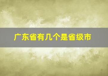 广东省有几个是省级市