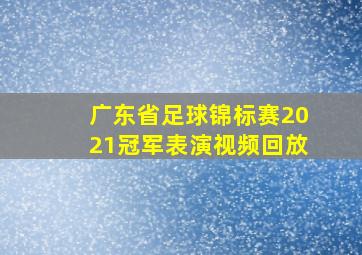 广东省足球锦标赛2021冠军表演视频回放