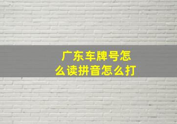 广东车牌号怎么读拼音怎么打