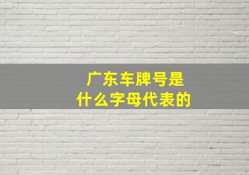 广东车牌号是什么字母代表的