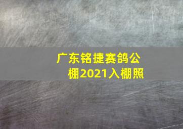 广东铭捷赛鸽公棚2021入棚照