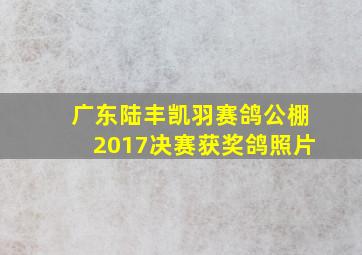 广东陆丰凯羽赛鸽公棚2017决赛获奖鸽照片