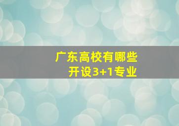 广东高校有哪些开设3+1专业