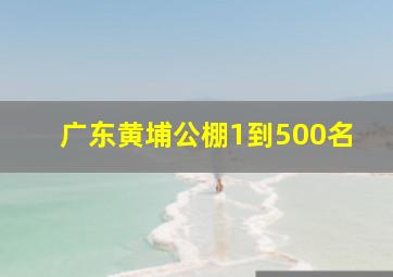 广东黄埔公棚1到500名