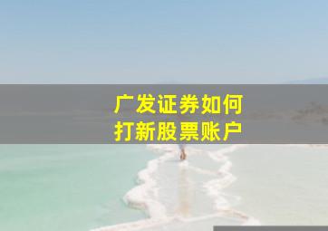 广发证券如何打新股票账户