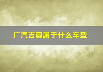 广汽吉奥属于什么车型