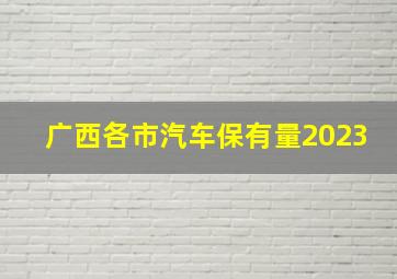 广西各市汽车保有量2023