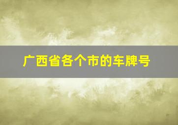 广西省各个市的车牌号