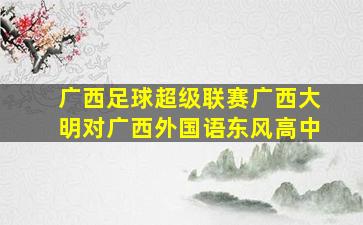 广西足球超级联赛广西大明对广西外国语东风高中