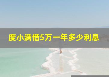 度小满借5万一年多少利息