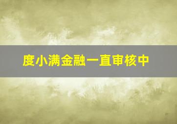 度小满金融一直审核中