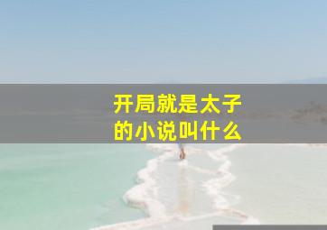 开局就是太子的小说叫什么