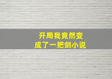 开局我竟然变成了一把剑小说