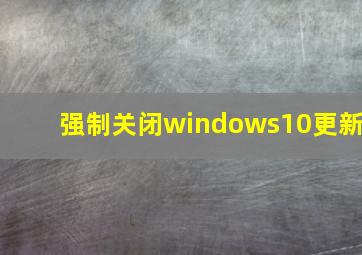 强制关闭windows10更新