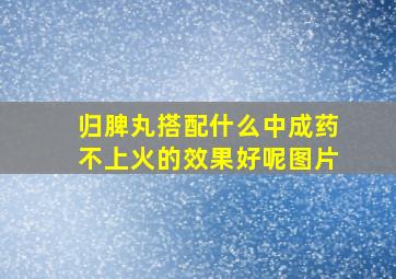 归脾丸搭配什么中成药不上火的效果好呢图片