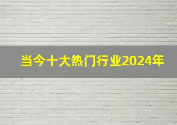 当今十大热门行业2024年