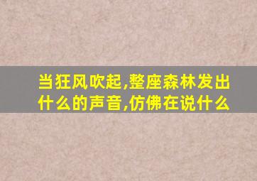 当狂风吹起,整座森林发出什么的声音,仿佛在说什么