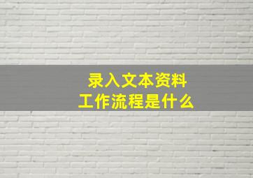 录入文本资料工作流程是什么