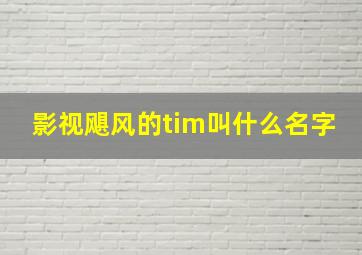 影视飓风的tim叫什么名字