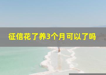 征信花了养3个月可以了吗